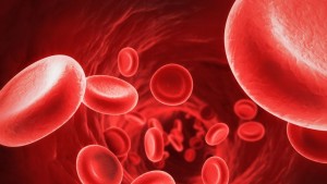 Red Blood Cells
